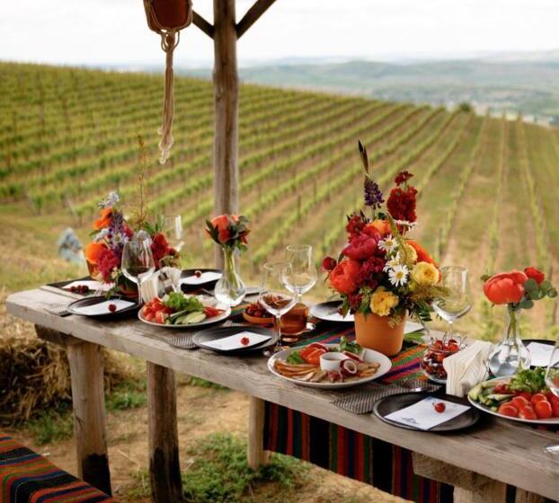 هتل Crama Mircesti