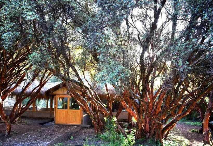 فندق Espeletia Lodge