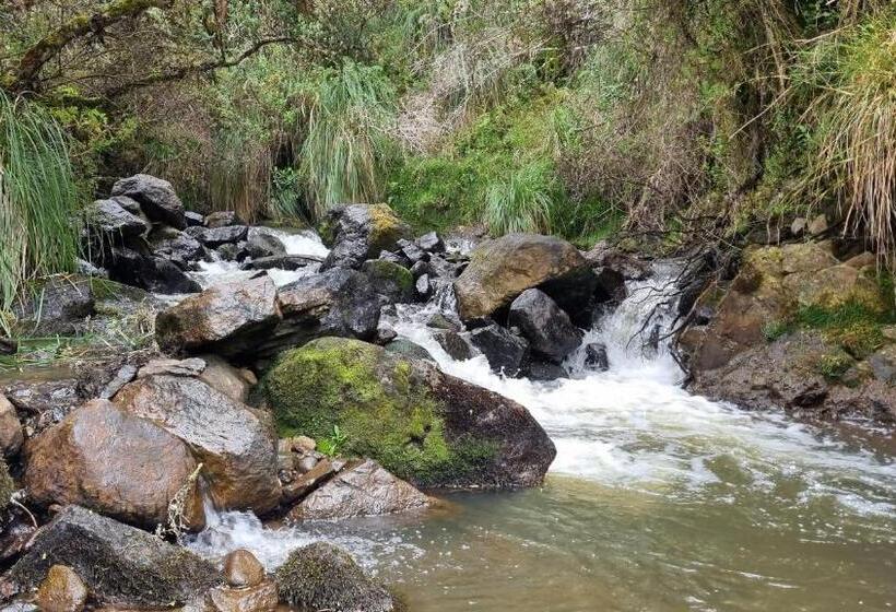 فندق Espeletia Lodge