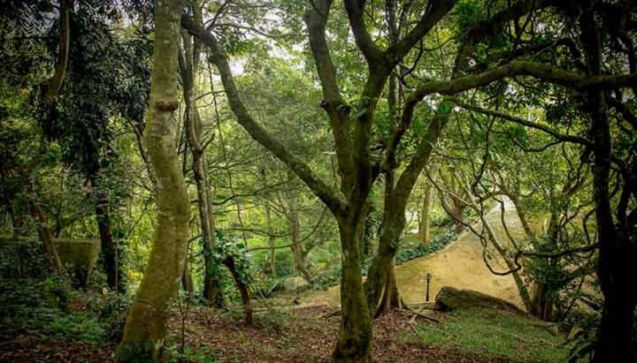 酒店 Legend Of Selagama