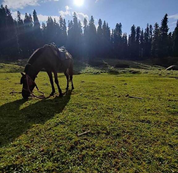 ホテル Marina Gulmarg