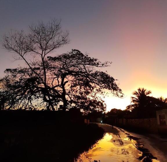 ホテル Pousada Brisa Do Campo Paulino Neves