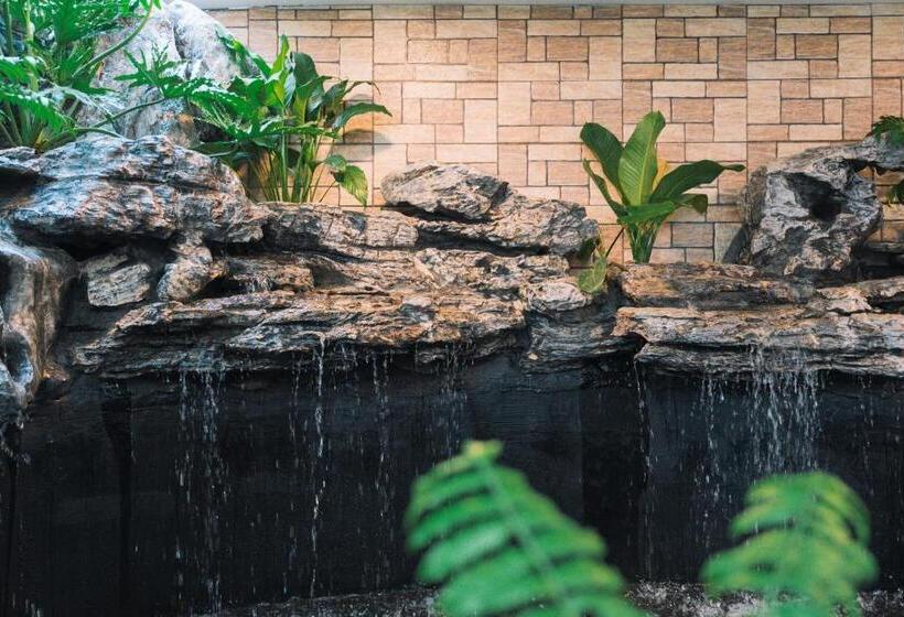 هتل Quy Tai Premium