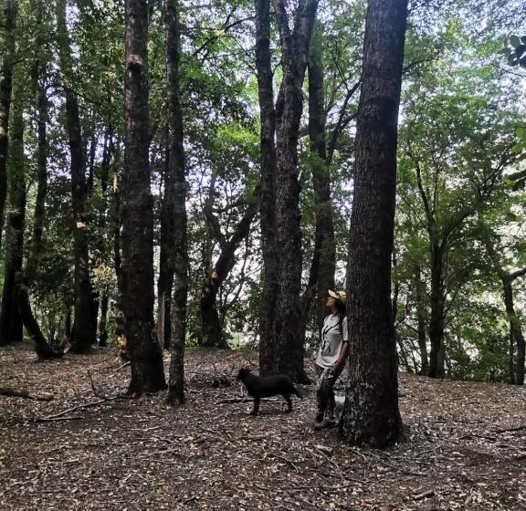 Отель Refugio Kiñeco