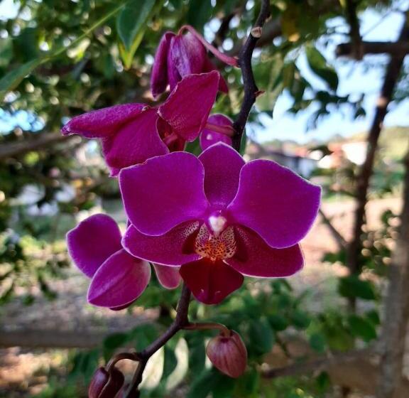 호텔 Santa Lucia Estancia Rural