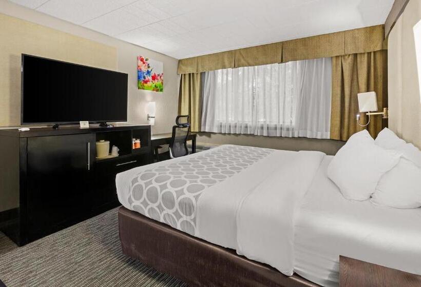 בית מלון כפרי Suburban Studios