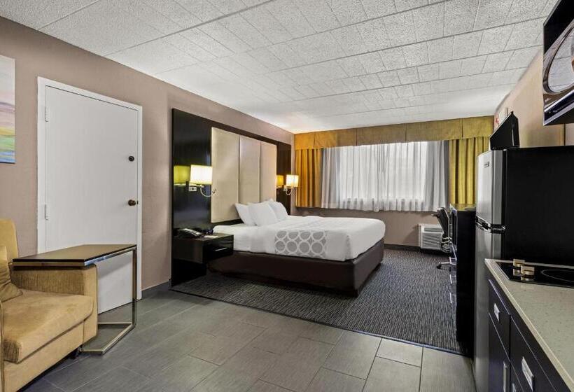 בית מלון כפרי Suburban Studios