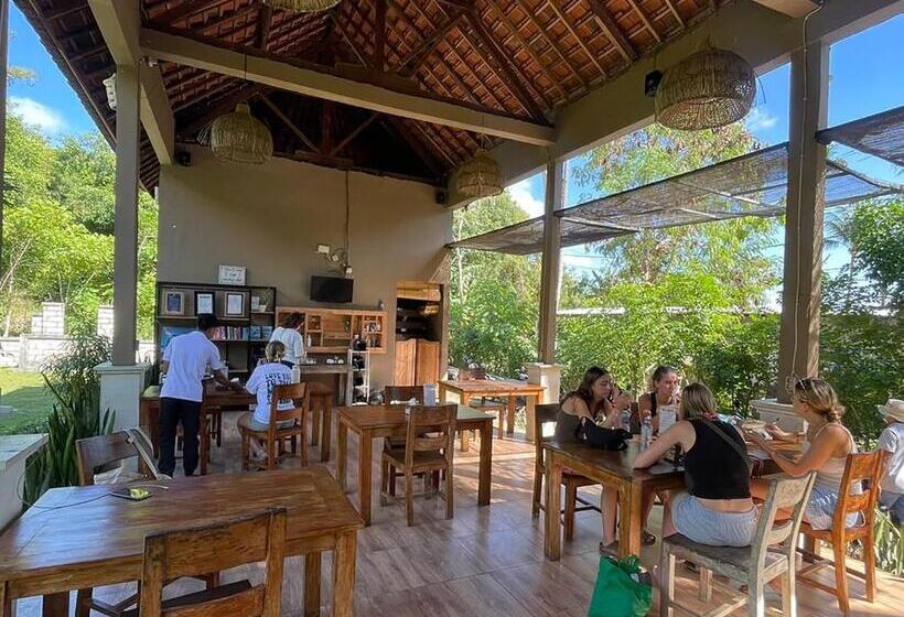 Pedidi Penida Hostel
