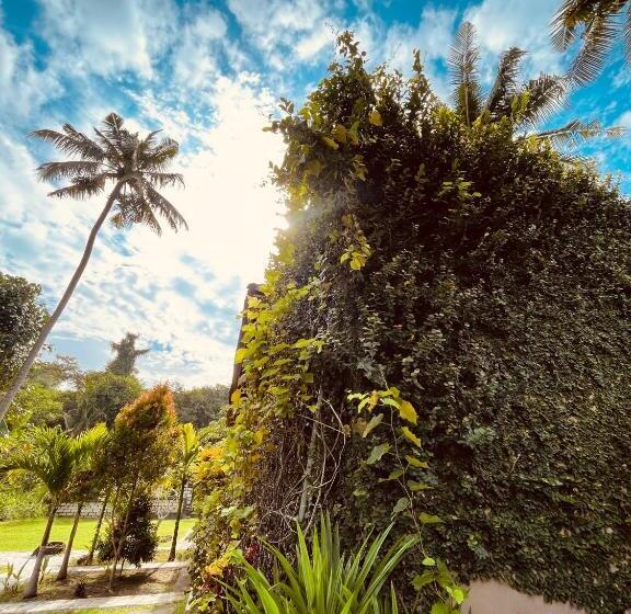 Pedidi Penida Hostel