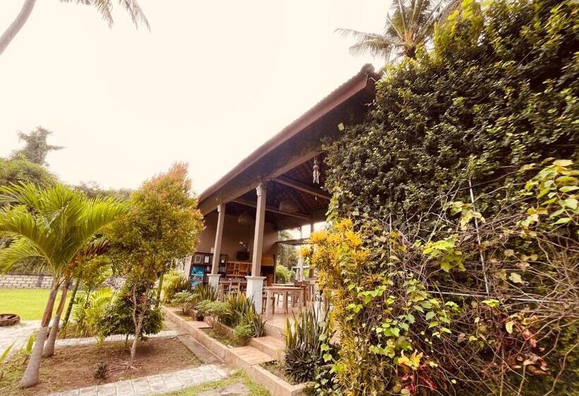 Pedidi Penida Hostel