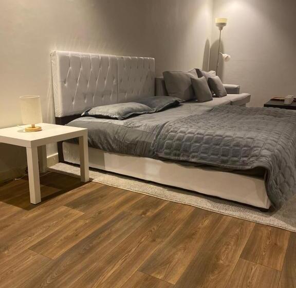 بنسيون استديو غرفه بأثاث مريح