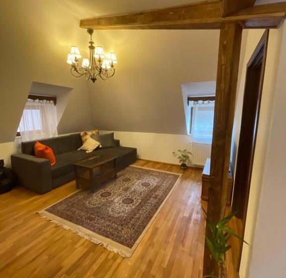 بنسيون Apartament Tisa Cătun