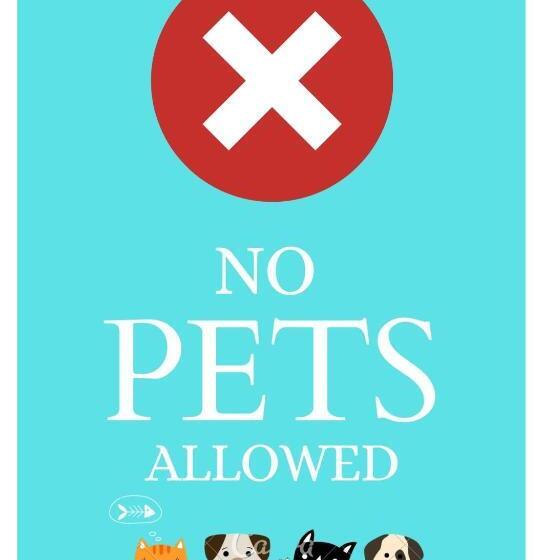 بنسيون Casa Maris