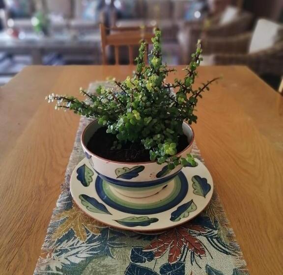 Пансион Clyde S On Dale Guest House