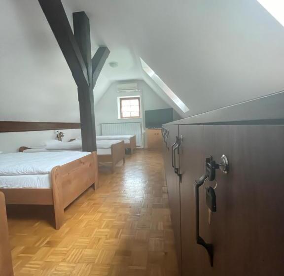 بنسيون Gostišče Barbara