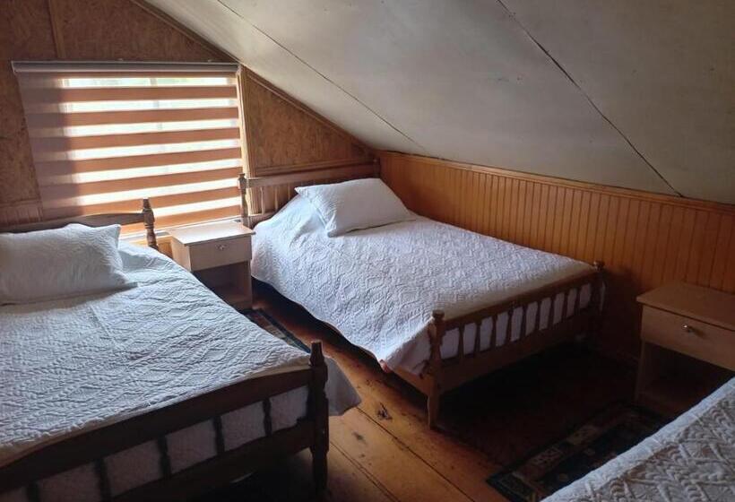 بنسيون Residencial Carahue Futaleufú