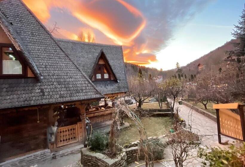 ペンション Suită Pin   Cătun