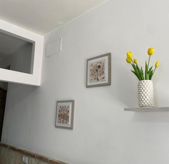 פנסיון Terra Sole Monica Camera Terra