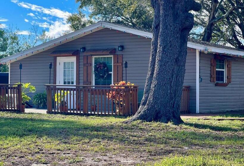 بنسيون The Lake Alfred Citruswood Cabin