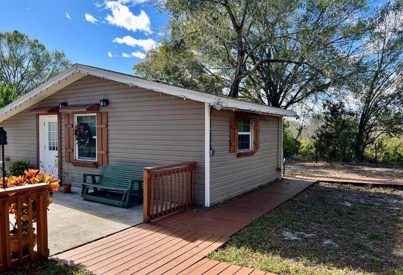 بنسيون The Lake Alfred Citruswood Cabin