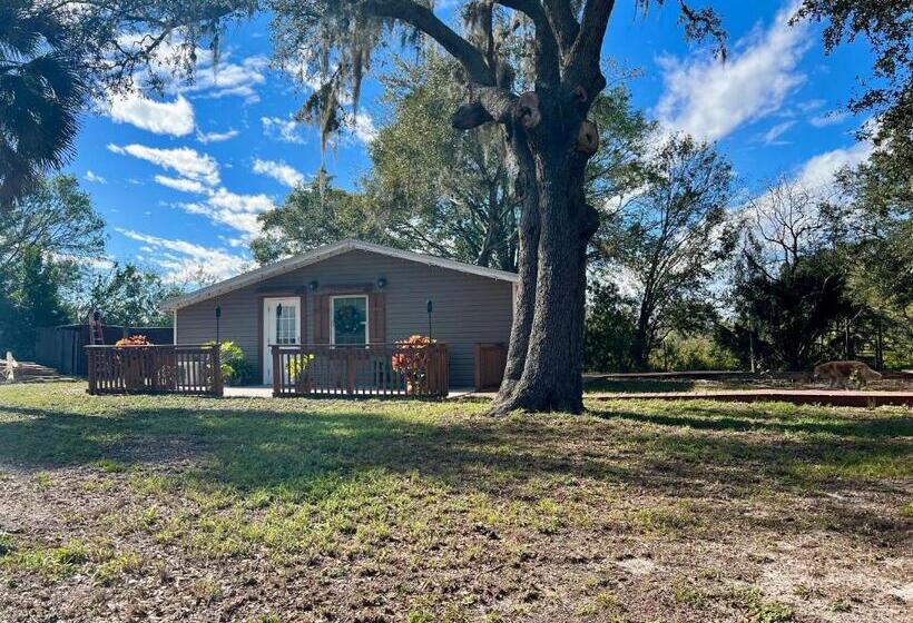 بنسيون The Lake Alfred Citruswood Cabin