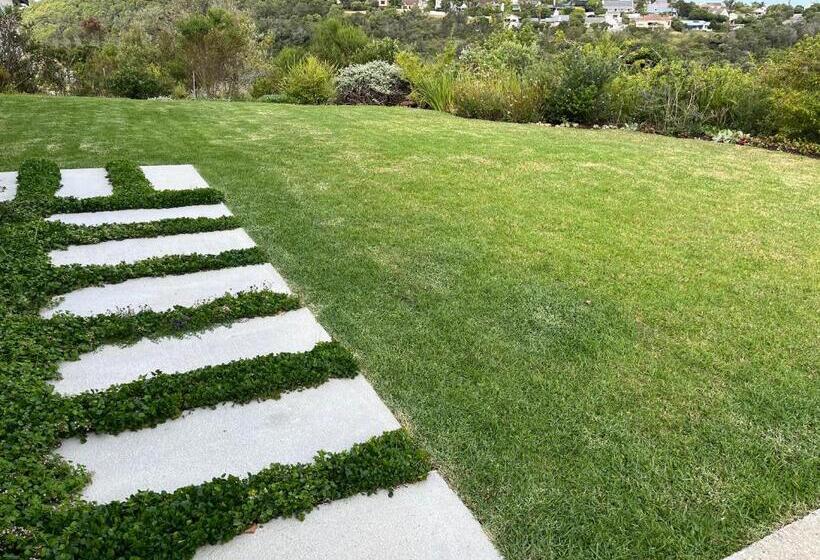 ペンション The Lily Suite