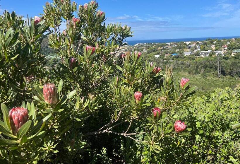 ペンション The Lily Suite