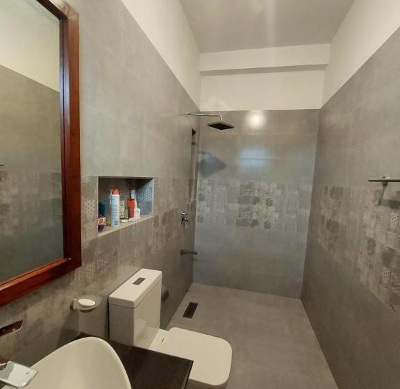 פנסיון The Villa Green Grand