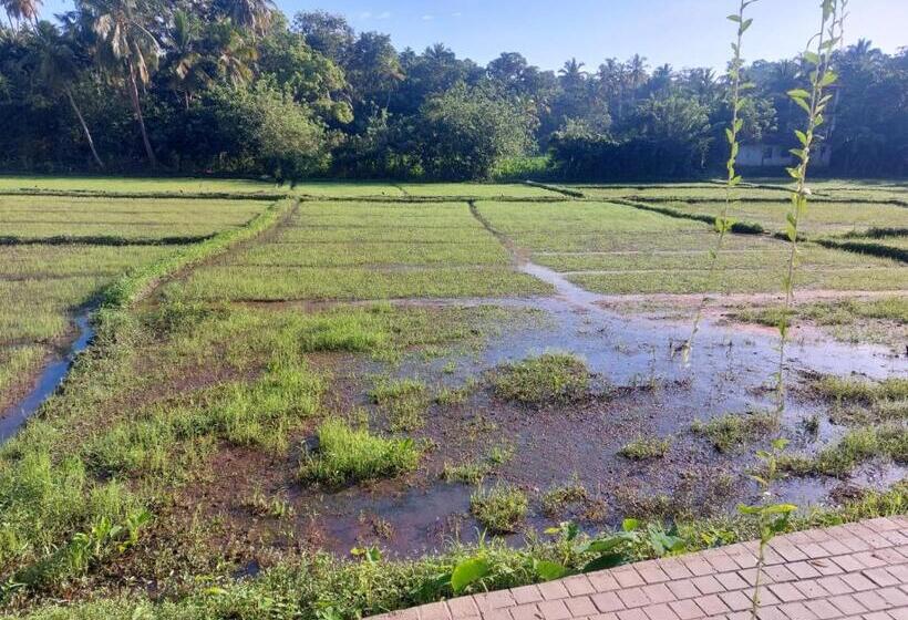 פנסיון The Villa Green Grand