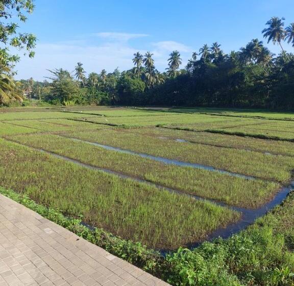 פנסיון The Villa Green Grand