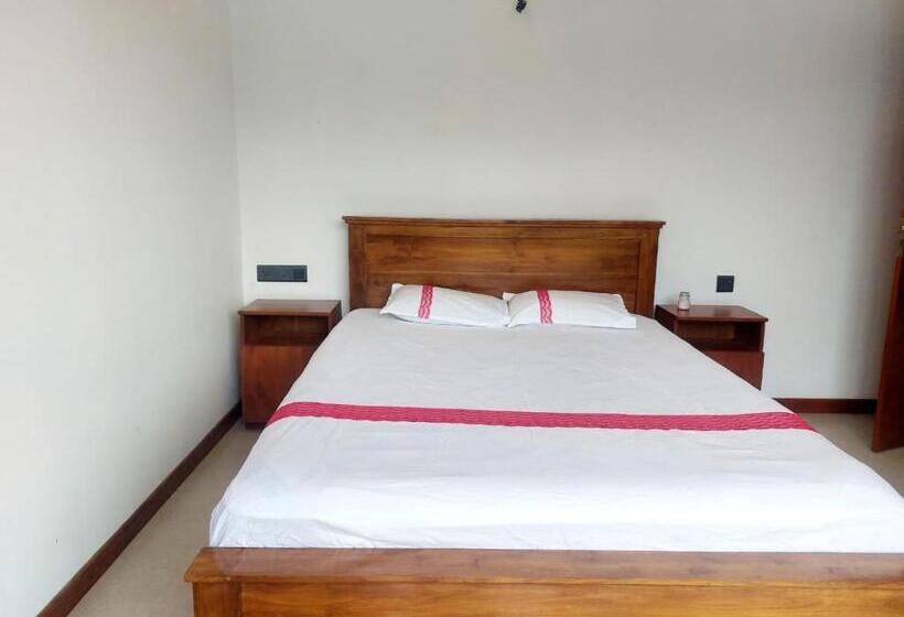 פנסיון The Villa Green Grand