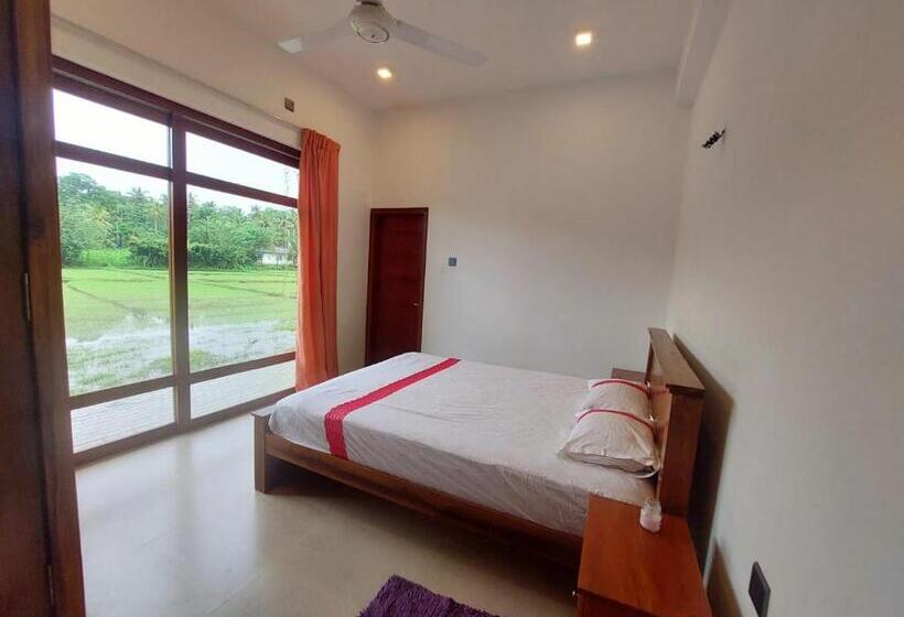 פנסיון The Villa Green Grand