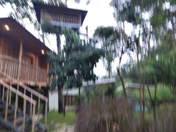 リゾートホテル Michael Leisure & Ayurveda Retreat