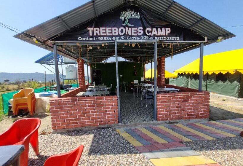 منتجع Tree Bones Camp