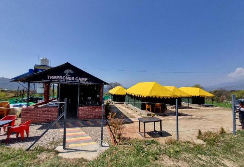 منتجع Tree Bones Camp