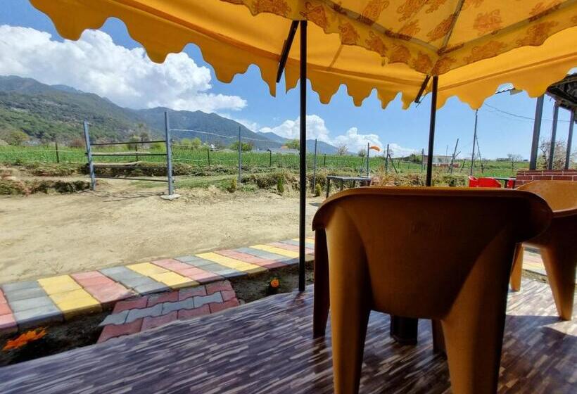 منتجع Tree Bones Camp