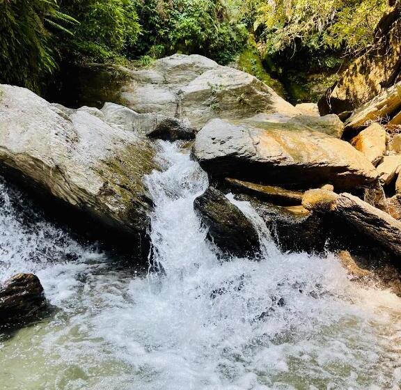 منتجع Tree Bones Camp