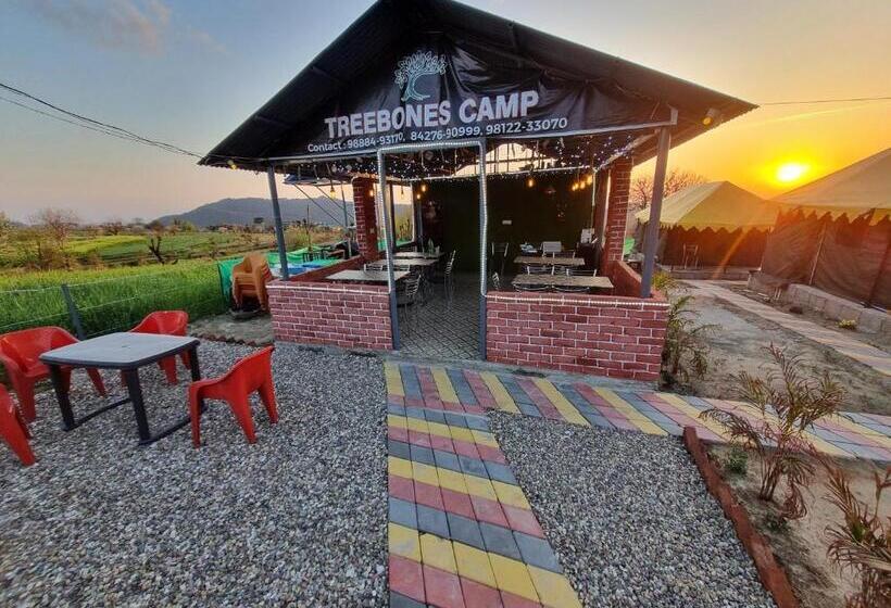منتجع Tree Bones Camp
