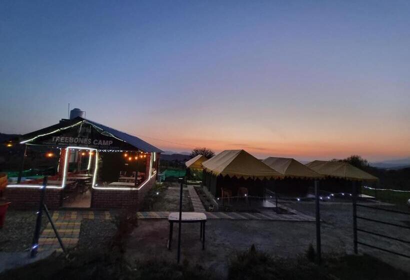 منتجع Tree Bones Camp