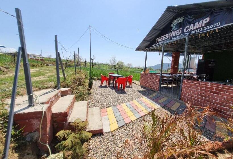 منتجع Tree Bones Camp