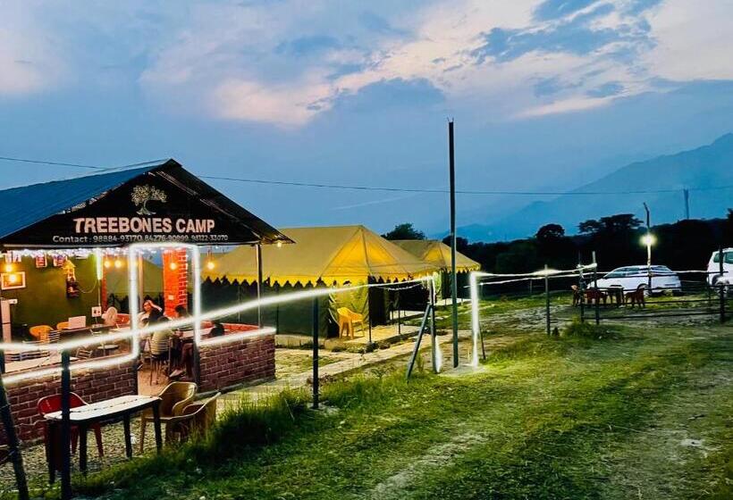 منتجع Tree Bones Camp