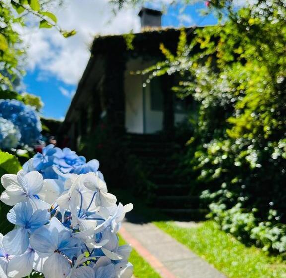 旅馆 Pousada Quinta Dos Medeiros Canela E Ipê Amarelo Gramado