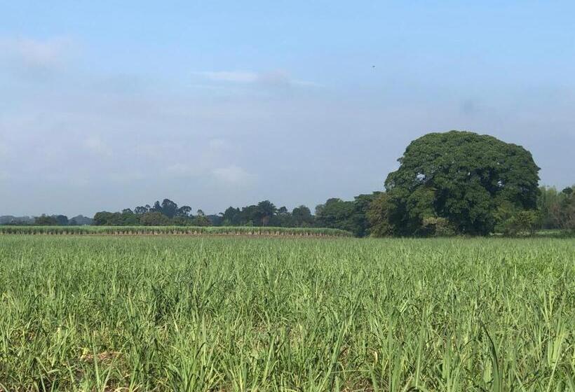 Aparta Hotel Plenitud