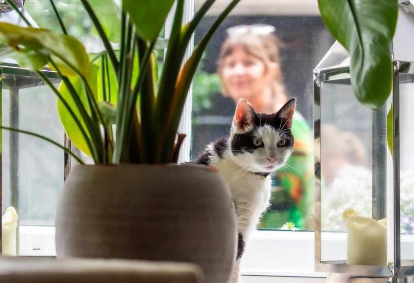 B&b De Zilveren Reiger