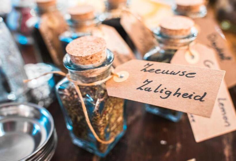 B&b De Zilveren Reiger