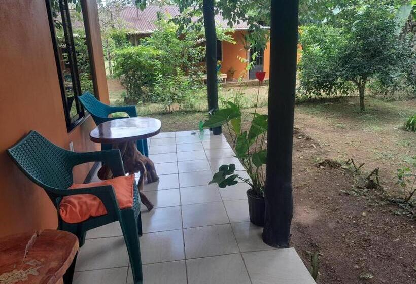 민박 Cabinas Corcovado Green Parrot, Los Planes Drake