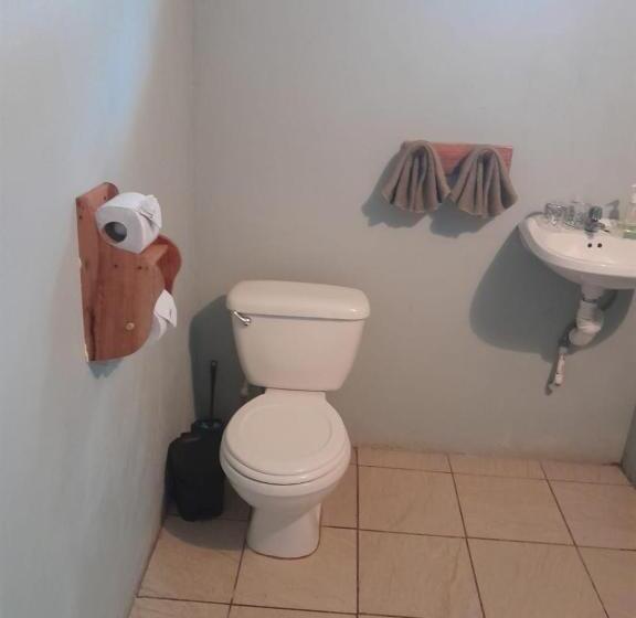 Bed and Breakfast Cabinas Corcovado Green Parrot, Los Planes Drake