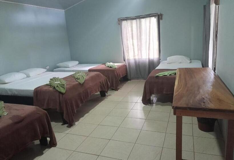 Bed and Breakfast Cabinas Corcovado Green Parrot, Los Planes Drake