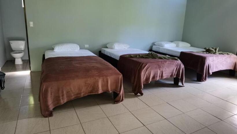 Bed and Breakfast Cabinas Corcovado Green Parrot, Los Planes Drake