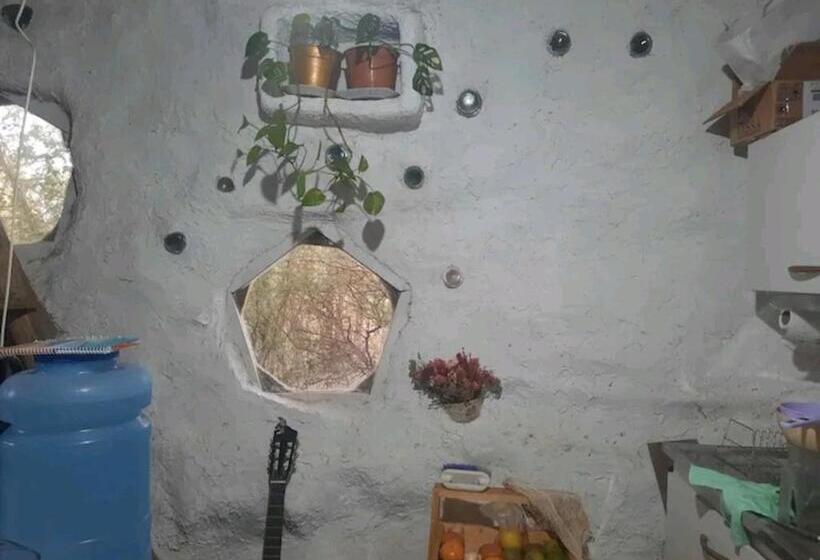 Bed & Breakfast Felix Felicis